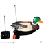 Swim&#039;N Duck Remote Control Decoys - Mallard Drake