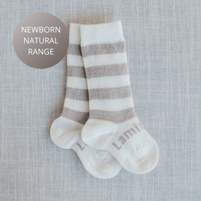 Dandelion Lamington Socks