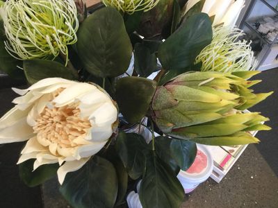 Protea Cream/Green