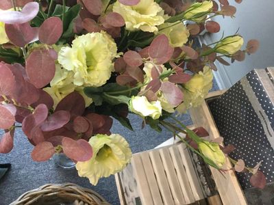 Lisianthus Lime