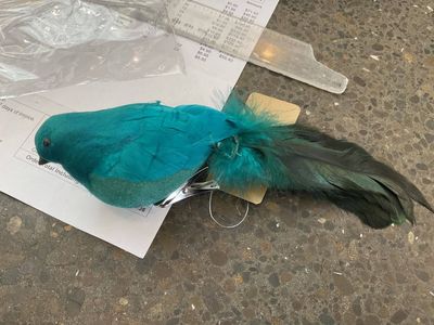Fat Robin with Clip