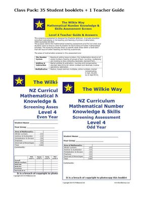 Level 4 Assessment Screen 25 Pack