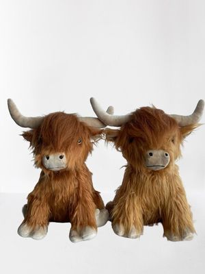 Highland Weighted Teddy Set -  New In!