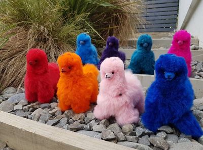 Collectable Auskin Alpaca Toy - 3 colours