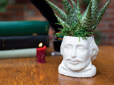 Shakespeares fertile mind| Planter pot