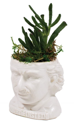 Einstein fertile mind | Planter pot