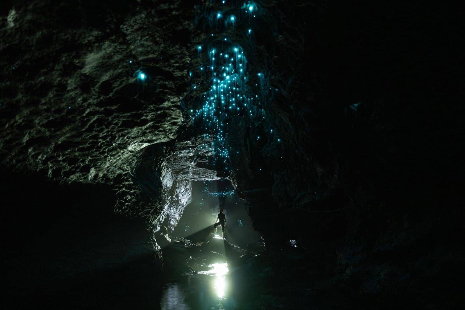 View experience here