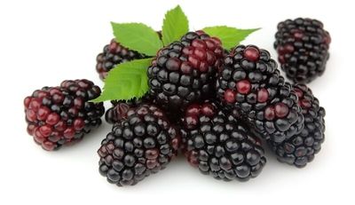 Blackberries 1kg