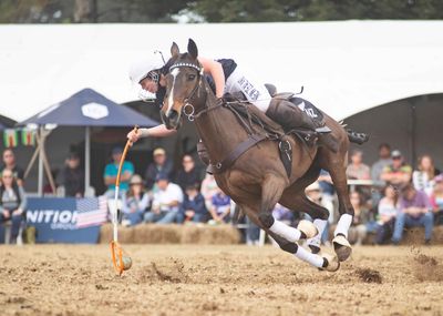 NZ Polocrosse