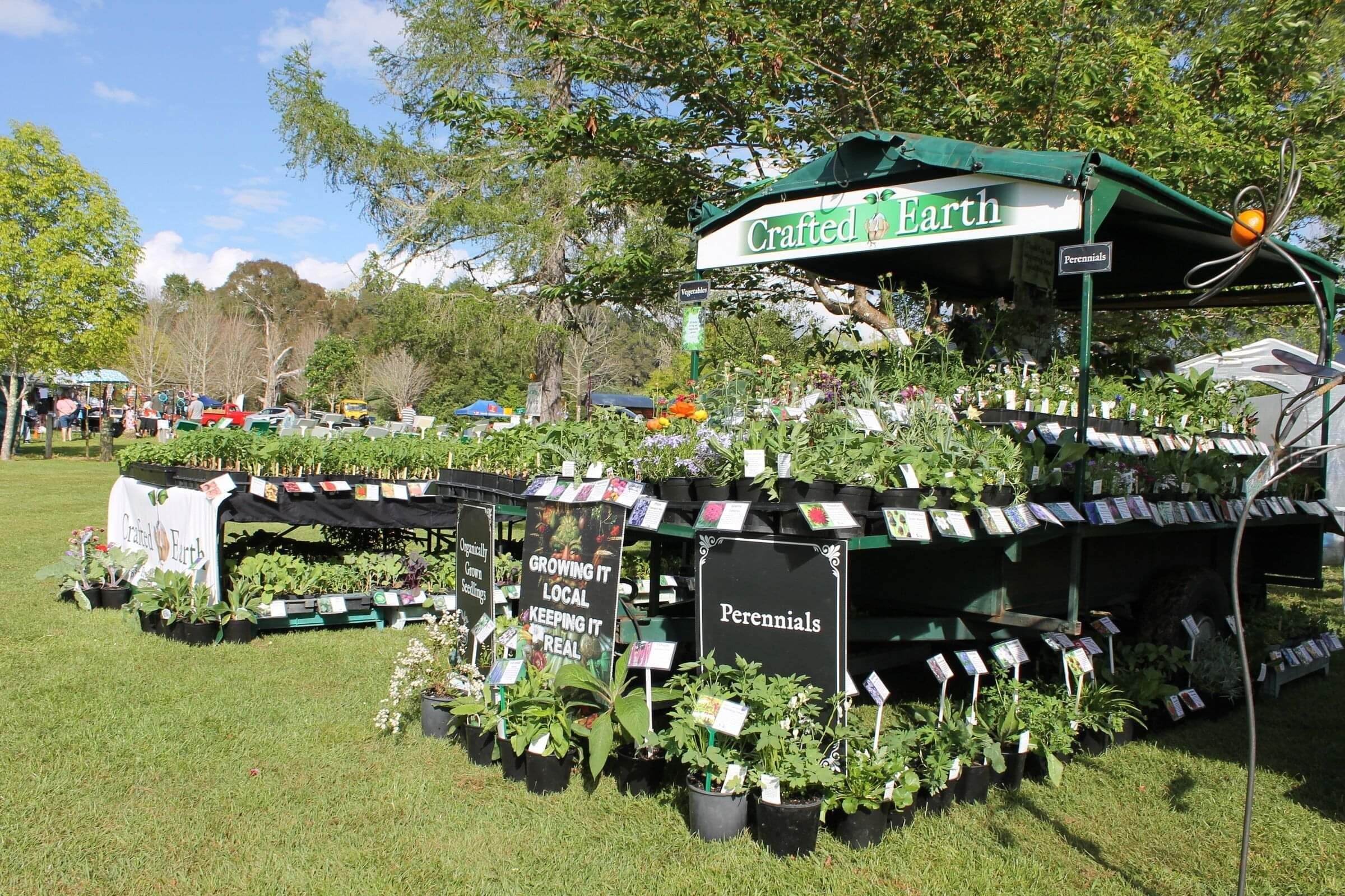 Most beautiful Plant stall decorated in exqusite perennial flowers and organic seedlings at Farmers markets and fairs