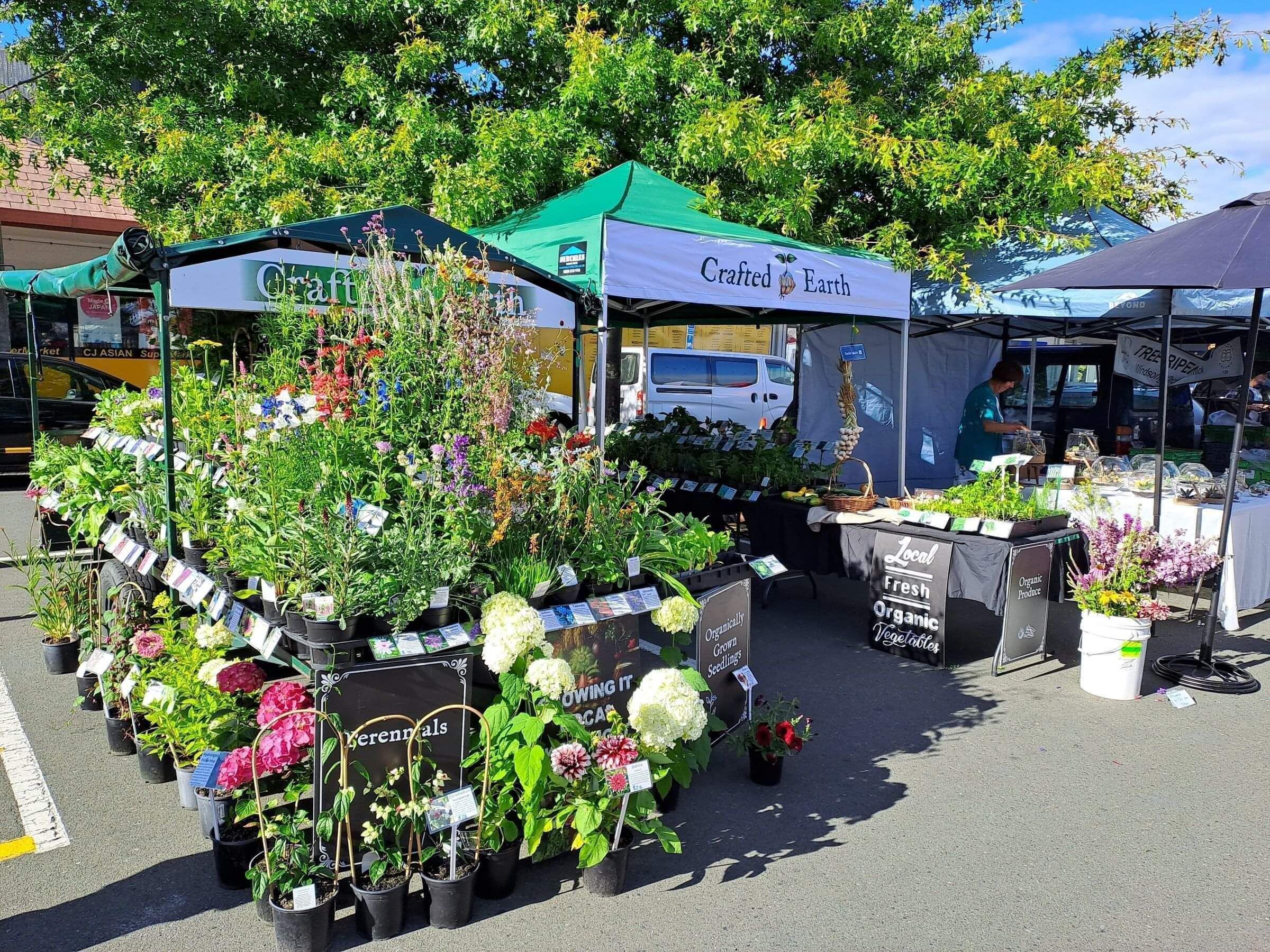 Flower and vegetable plant stall at nelson Market New zealand