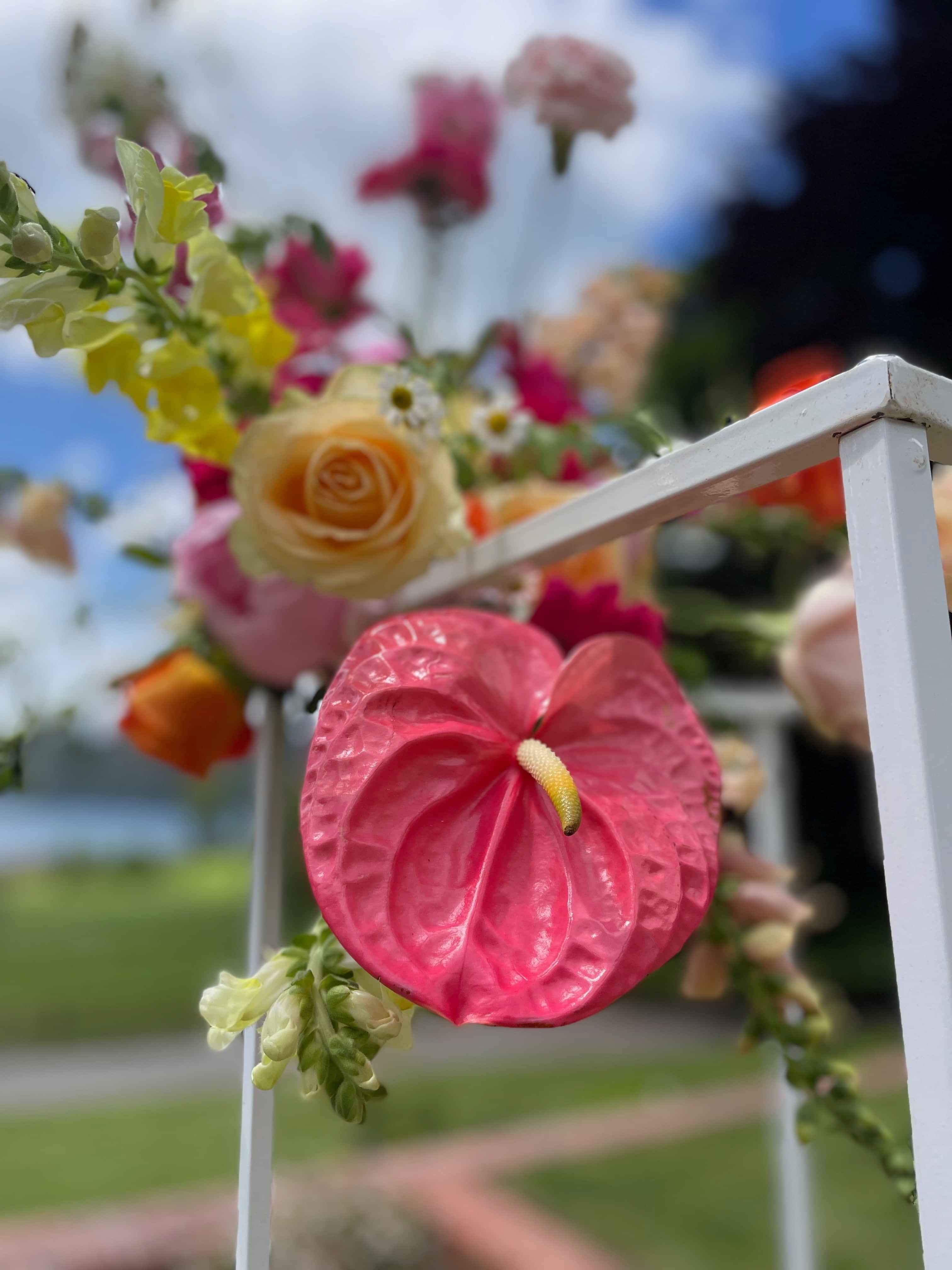 Beautiful jewel-tone wedding flowers by Raglan Florist Wild About Eve
