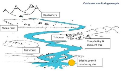 Diy Stream Health Monitoring | Thriving Southland