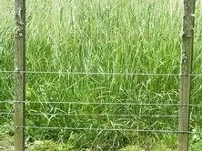 Spraying microbes and nutrients with a Cyclone Sprayer 