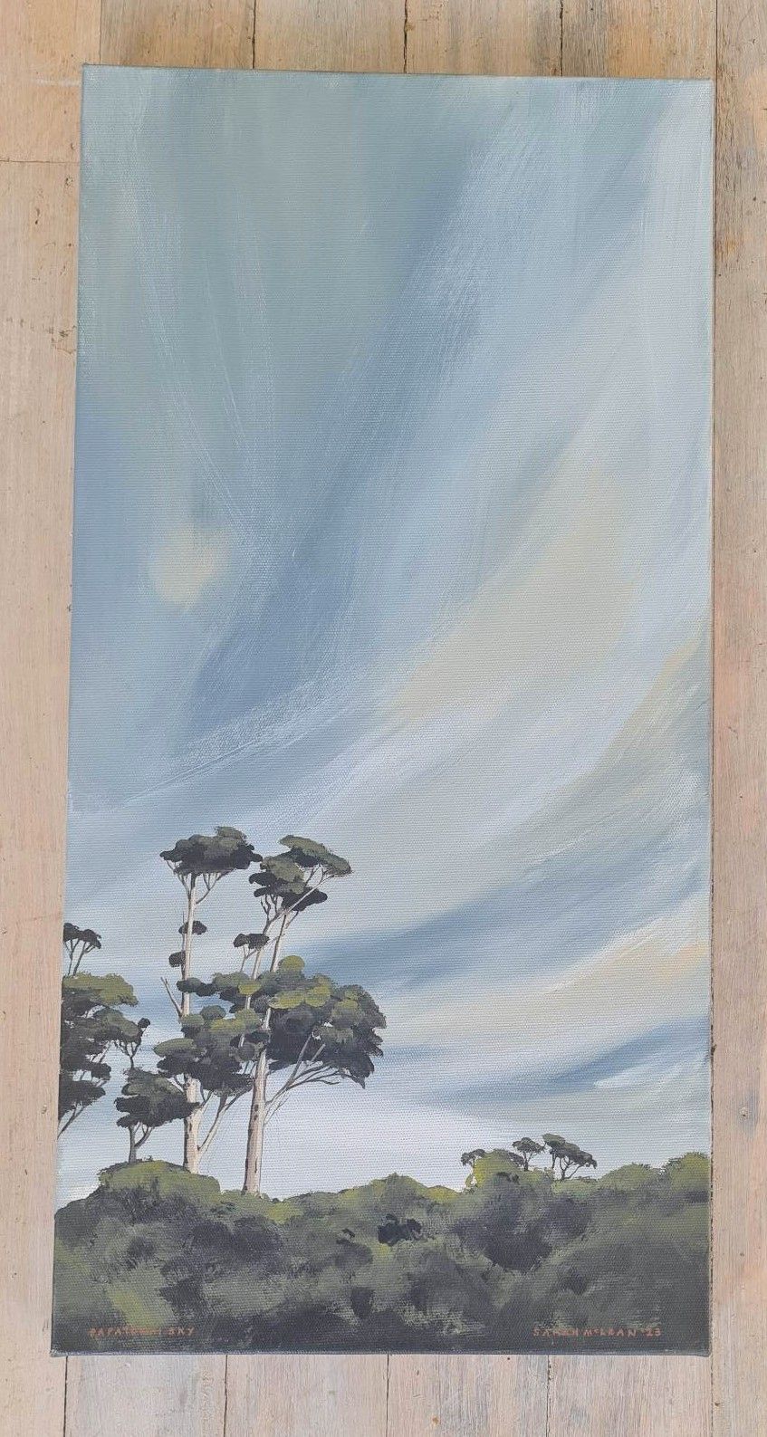 1. Papatowai Sky