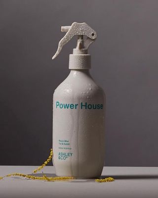 Ashley &amp; Co Power House - Tui &amp; Kahili