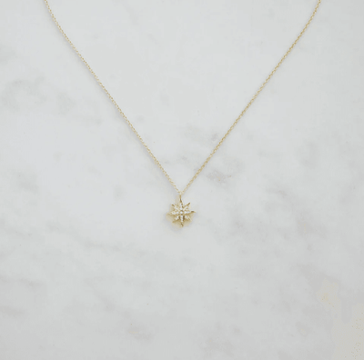 Sophie Star Gazing Necklace - Gold