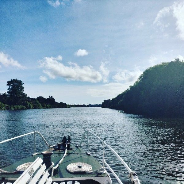 riverboat whanganui