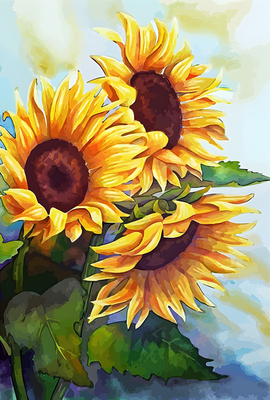 DP4318 - 40x60 Summer Sunflowers