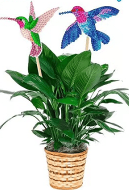PS102 - Pot Plant Decorations