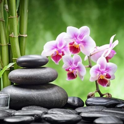 DP5439 - 50x50 Zen Orchids