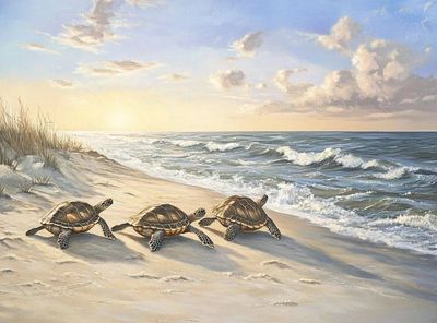 DP5479 - 70x50 Turtles Heading Home