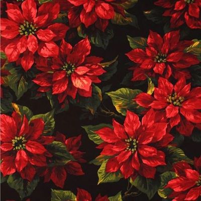 Scarlet Pointsettia
