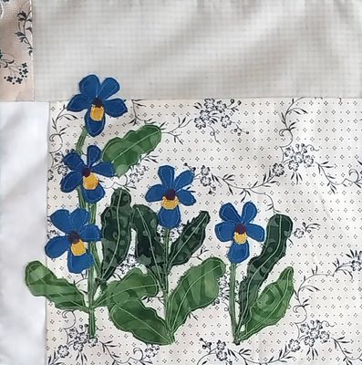 Chelsea Garden Block Johnny Jump Ups