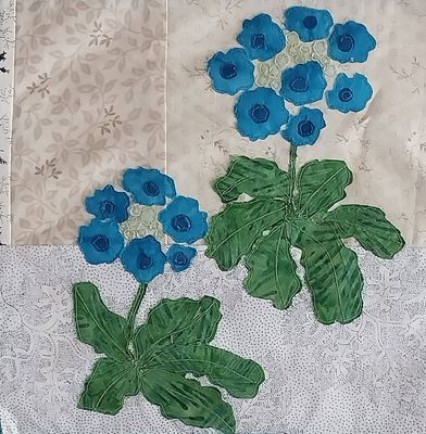 Chelsea Garden Block Primula