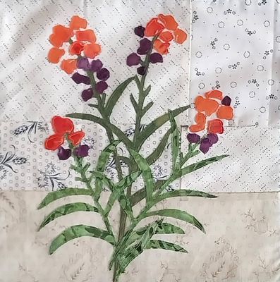 Chelsea Garden Block Wallflower