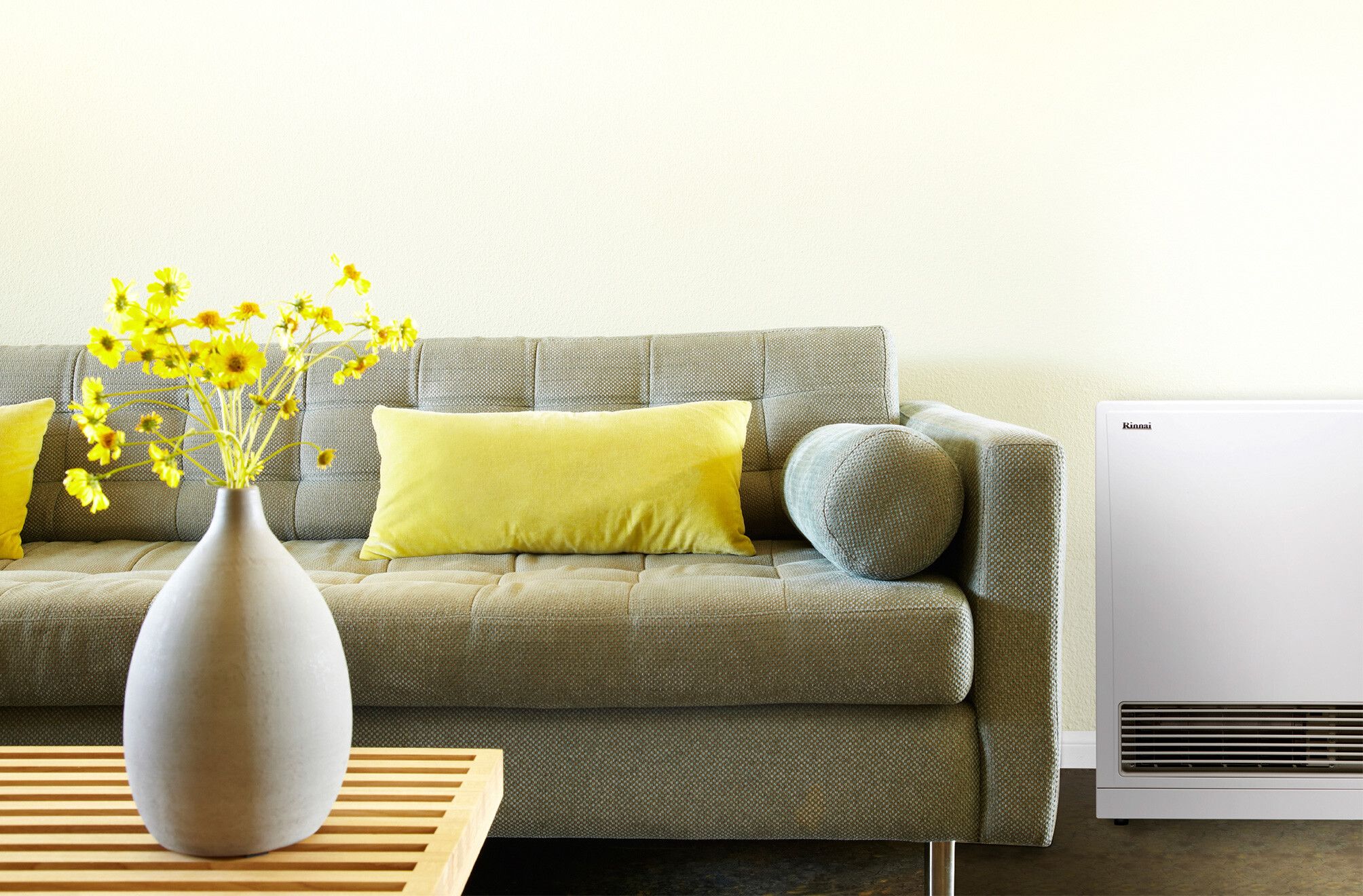Rinnai Energysaver 561FT, GAS HEATING | Pratts NZ
