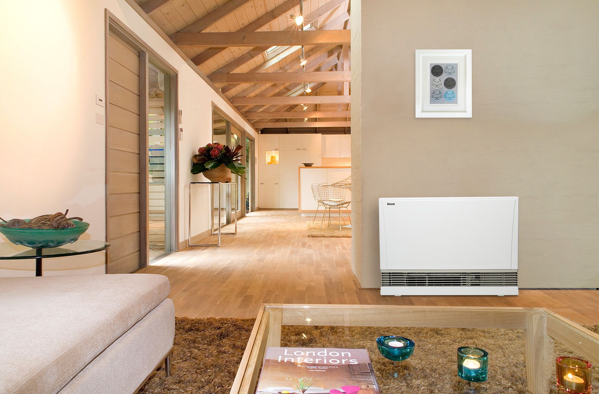 Rinnai Energysaver 1005FT, GAS HEATING | Pratts NZ