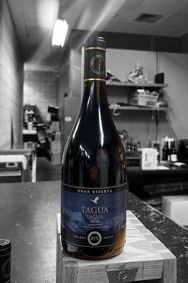 BODEGAS TAGUA TAGUA GRAN RESERVA CARIGNAN 2019