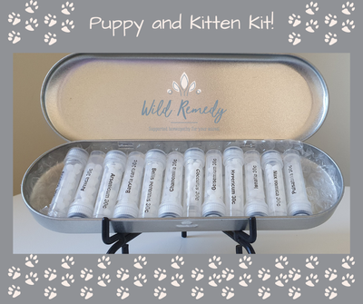 Puppy/Kitten Kit