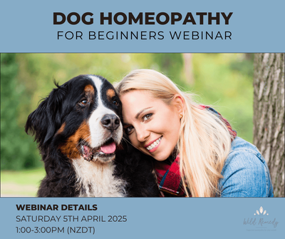 #6 Homeopathy for Dogs Beginners Webinar - Saturday 5th April - 1:00-3:00pm (NZDT)