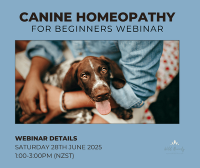 #2 Homeopathy for Dogs Beginners Webinar - Saturday 28th June - 1:00-3:00pm (NZST)