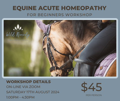 Equine Acute Homeopathy Workshop