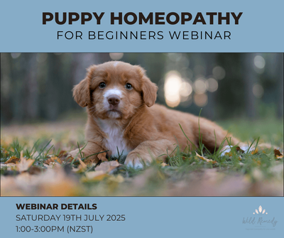 #3 Homeopathy for Puppies Beginners Webinar - Saturday 19th July - 1:00-3:00pm