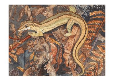 &#039;Coromandel Striped Gecko / Torupuku &ldquo;Coromandel&rdquo;&#039; Gicl&eacute;e print