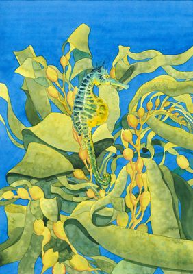 &#039;Big-belly Seahorse in Giant Kelp&#039; A3 Gicl&eacute;e Print