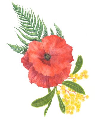 &#039;Lest We Forget&#039; ANZAC Tribute A4 Giclee Print