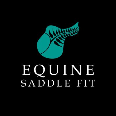 Saddle Fit Taupo, Rotorua, Tauranga, South Auckland