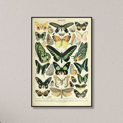 Papillons II framed print 40x60cm