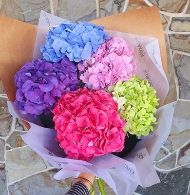 Hydrangea Bouquet