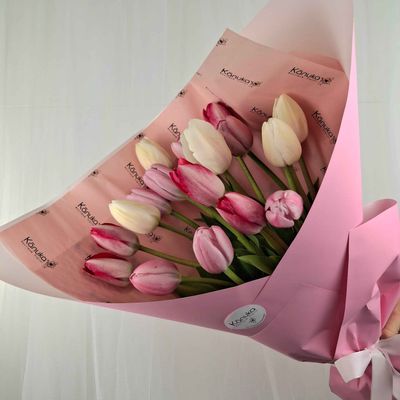 Cheerful Tulips