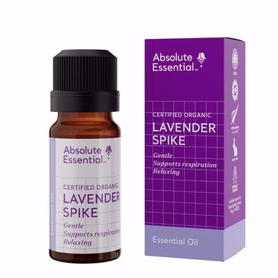 Absolute Essential Lavender Spike Oil 10ml