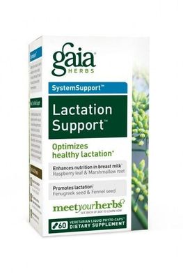 Lactation Support