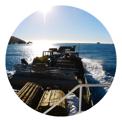 General Freight and Cargo Solutions