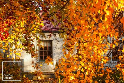 Crown Range Autumn Cottage - 12&quot; x 18&quot;