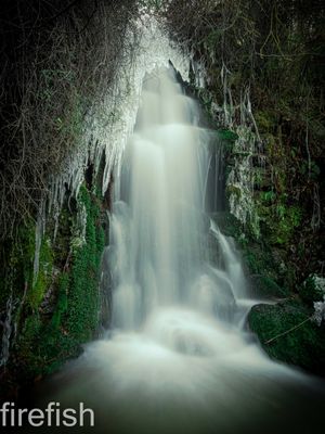 Hidden Waterfall -16&quot; x 20&quot;